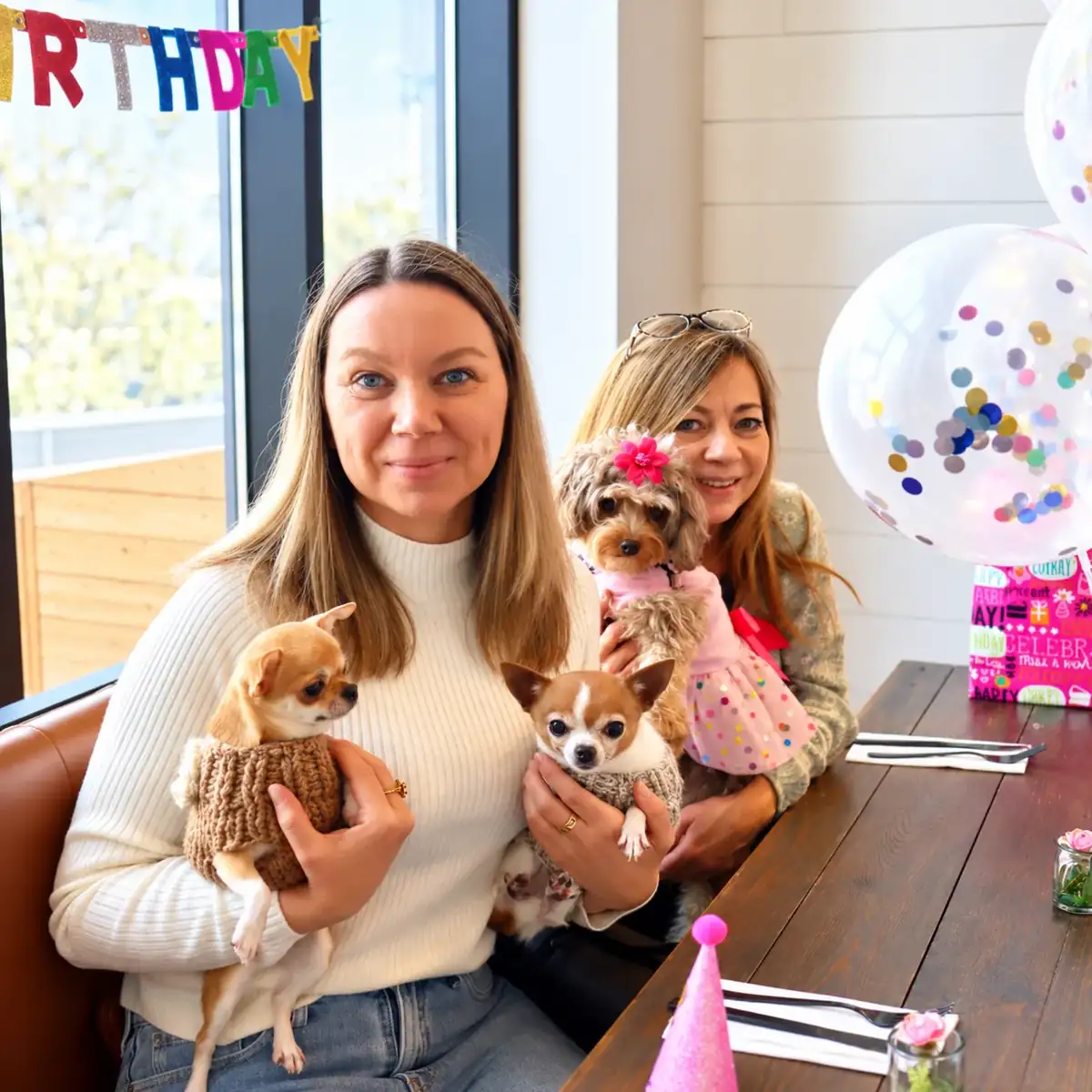 Fête d’anniversaire canine avec chihuahuas et ballons au Ruby Café MTL, Montréal