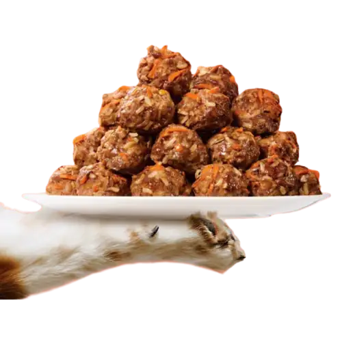 Woof Meat Balls
