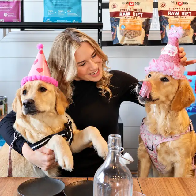 Two golden retrievers in birthday hats with a guest at Ruby Café MTL