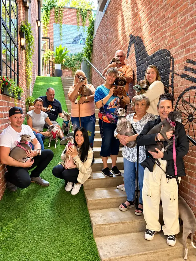 Guests holding Italian greyhounds on the Doggieville stairs and lawn.