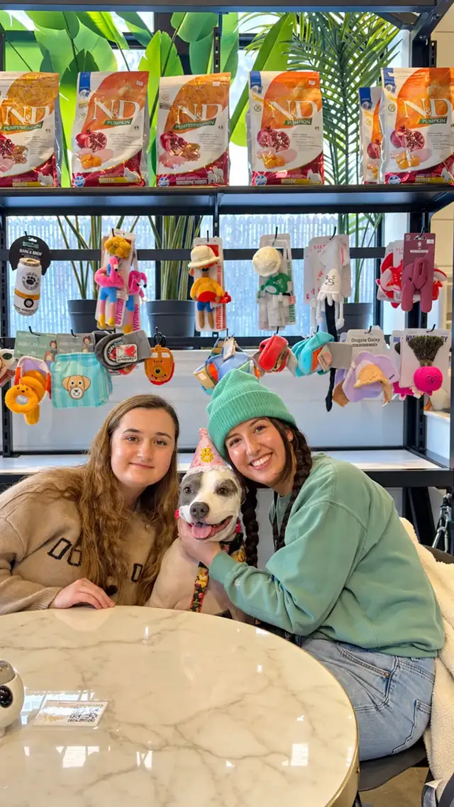 Two guests hugging a pit bull in a party hat at a marble table, Doggieville toy wall behind.
