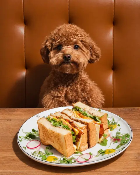 Waiting for a bite — photo at Ruby Café MTL, Montréal