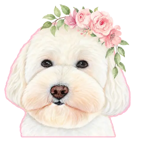 Watercolor illustration of Ruby, the bichon in the Ruby Café MTL logo